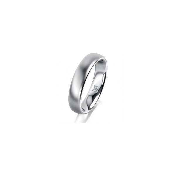 Ring 18 Karat Weissgold 4.5 mm l&auml;ngsmatt