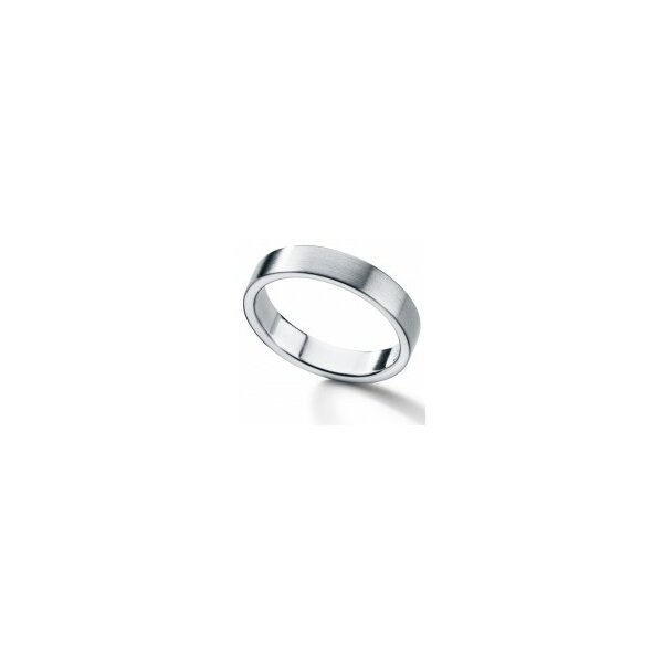 Ring Edelstahl