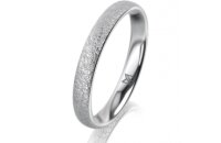 Ring 14 Karat Weissgold 3.0 mm kreismatt