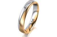Ring 18 Karat Gelbgold/950 Platin 4.0 mm l&auml;ngsmatt