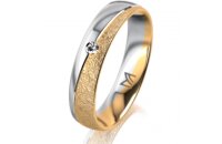 Ring 18 Karat Gelbgold/950 Platin 4.5 mm kreismatt 1...