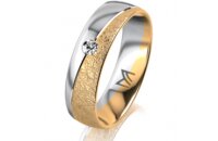 Ring 18 Karat Gelbgold/950 Platin 5.5 mm kreismatt 1...
