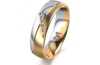 Ring 18 Karat Gelbgold/950 Platin 5.5 mm l&auml;ngsmatt 5...