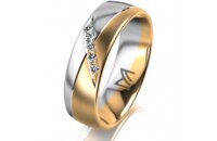 Ring 18 Karat Gelbgold/950 Platin 6.0 mm l&auml;ngsmatt 5...