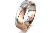 Ring 18 Karat Rotgold/950 Platin 6.0 mm l&auml;ngsmatt 1...