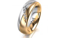 Ring 18 Karat Gelbgold/950 Platin 6.0 mm l&auml;ngsmatt 5...