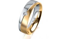 Ring 18 Karat Gelbgold/950 Platin 5.5 mm l&auml;ngsmatt 1...