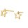 Ohrschmuck 14 Karat Gelbgold Stern