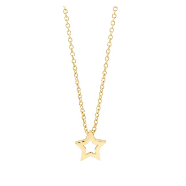 Halsschmuck 14 Karat Gelbgold Stern