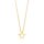 Halsschmuck 14 Karat Gelbgold Stern