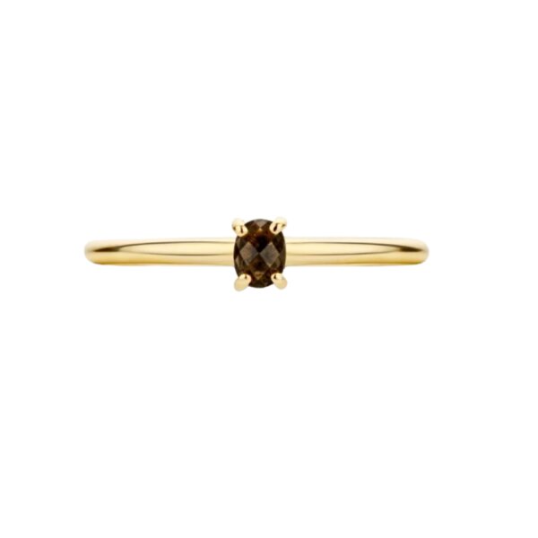 Ring 14 Karat Gelbgold Rauchquarz