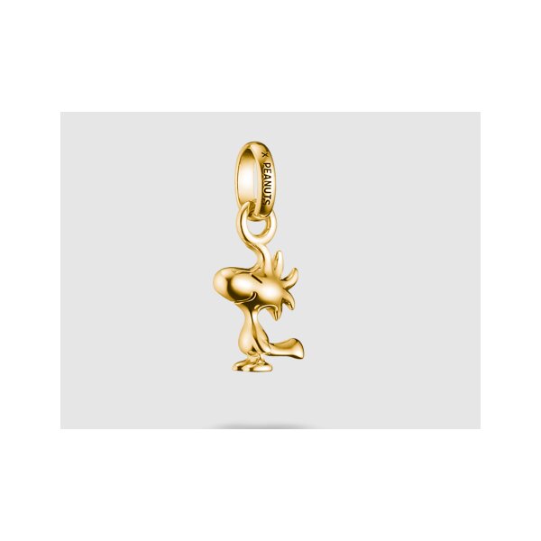 Anh&auml;nger 925 Silber gelbvergoldet Woodstock Connect