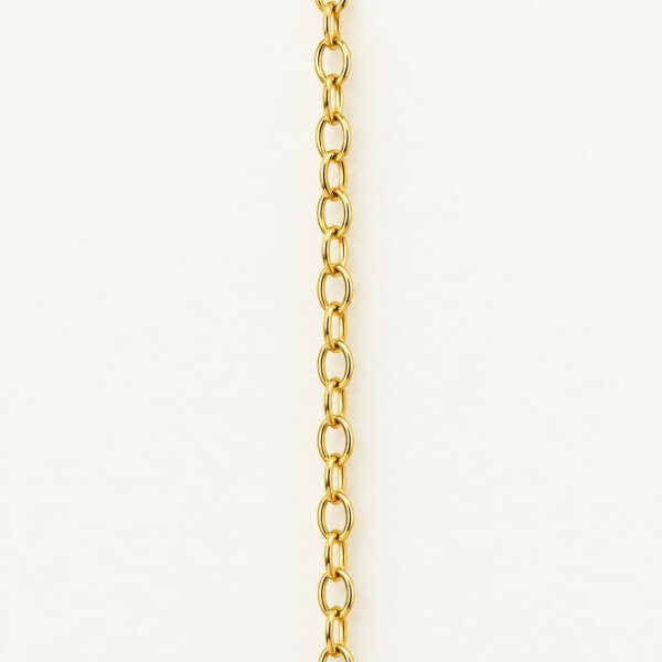 Armschmuck 14 Karat Gelbgold 19cm