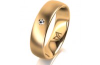 Ring 18 Karat Gelbgold 5.5 mm l&auml;ngsmatt 1 Brillant G...