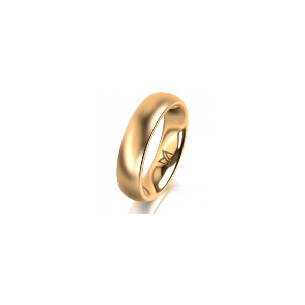 Ring 14 Karat Gelbgold 5.0 mm l&auml;ngsmatt