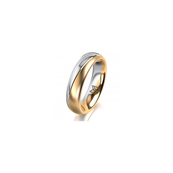 Ring 14 Karat Gelb-/Weissgold 5.0 mm l&auml;ngsmatt