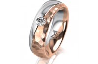 Ring 14 Karat Rot-/Weissgold 6.0 mm diamantmatt 1...
